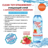 Очищающий спрей для игрушек CLEAR TOY Strawberry - 100 мл. - Биоритм - купить с доставкой в Норильске