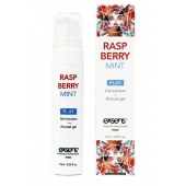 Возбуждающий гель Raspberry Mint с ароматом малины и мяты - 15 мл. - Exsens - купить с доставкой в Норильске