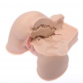 Мастурбатор-полуторс Naked Factory Kate - Naked Factory - в Норильске купить с доставкой