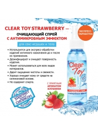 Очищающий спрей для игрушек CLEAR TOY Strawberry - 100 мл. - Биоритм - купить с доставкой в Норильске