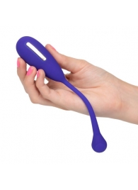 Фиолетовый шарик с электростимуляцией и вибрацией Intimate E-Stimulator Remote Kegel Exerciser - California Exotic Novelties - купить с доставкой в Норильске