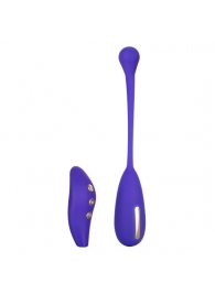 Фиолетовый шарик с электростимуляцией и вибрацией Intimate E-Stimulator Remote Kegel Exerciser - California Exotic Novelties - купить с доставкой в Норильске