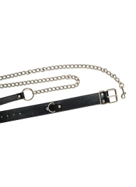 Черный ошейник с поводком Wild - Lola Games - купить с доставкой в Норильске