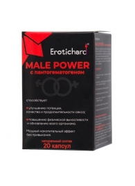 Капсулы для мужчин Erotichard male power с пантогематогеном - 20 капсул (0,370 гр.) - Erotic Hard - купить с доставкой в Норильске