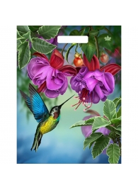 Пакет с принтом в виде колибри в цветах с вырубной ручкой (31х40 см) - Сима-Ленд - купить с доставкой в Норильске
