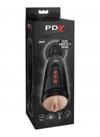 Мастурбатор-вагина с вибрацией Dirty Talk Starter Stroker - Pipedream - в Норильске купить с доставкой
