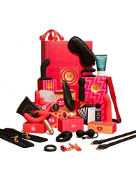 Адвент-календарь Lovehoney Couple’s Advent Calendar 2025 - We-vibe - купить с доставкой в Норильске