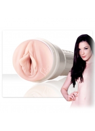 Мастурбатор-вагина Fleshlight Girls - Stoya Destroya - Fleshlight - в Норильске купить с доставкой