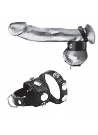 Утяжка для мошонки и пениса Cock Ring With 1  Ball Stretcher And Optional Weight Ring - BlueLine - купить с доставкой в Норильске