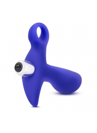 Синий стимулятор простаты с ручкой-кольцом Performance Prostimulator 02 - Blush Novelties - в Норильске купить с доставкой