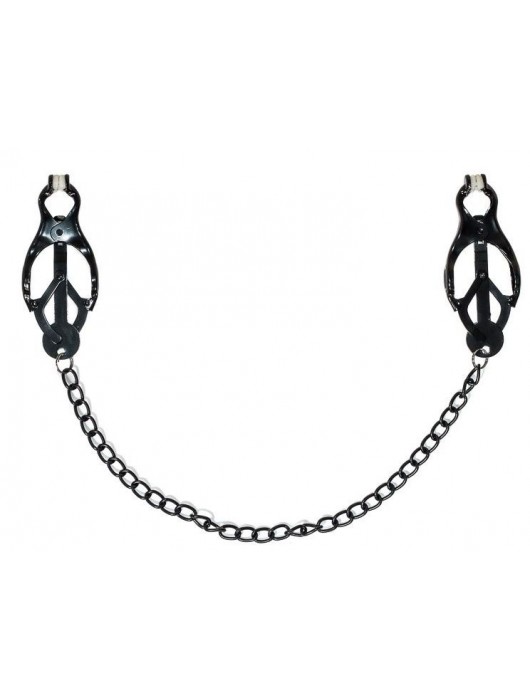 Зажимы на соски Darkside с цепочкой - Lola Games - купить с доставкой в Норильске