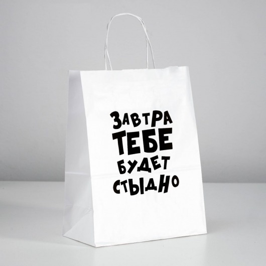 Подарочный пакет  Завтра тебе будет стыдно  - 30 х 24 см. - UPAK LAND - купить с доставкой в Норильске