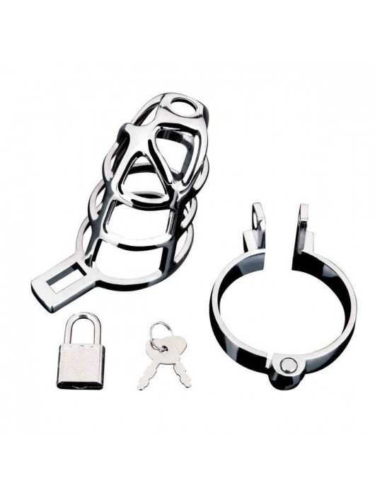 Серебристая металлическая клетка для члена с замком Enslave Cock Cage - BlueLine - купить с доставкой в Норильске