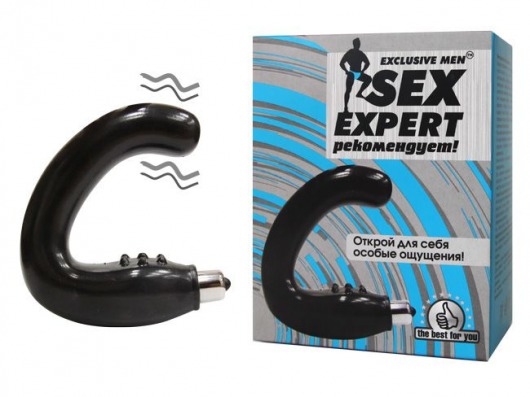 Чёрный массажёр простаты серии Sex Expert - Sex Expert - в Норильске купить с доставкой