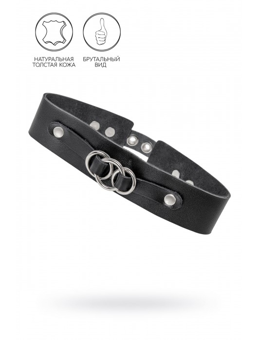 Черный чокер-ошейник со связанными кольцами на подложке - Pecado - купить с доставкой в Норильске