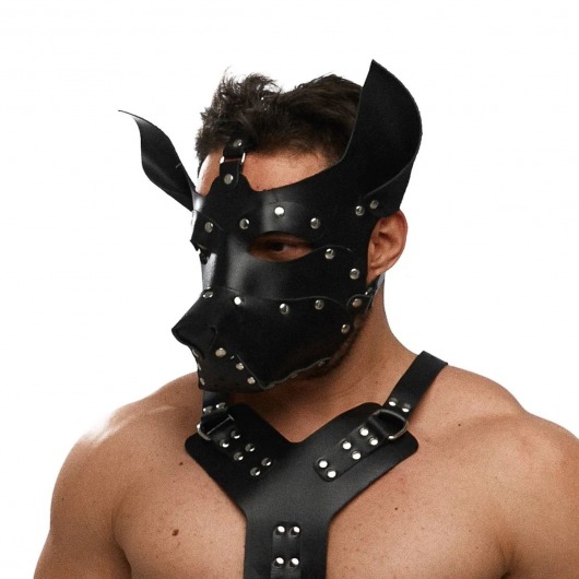 Черная кожаная маска «Собака» - Crazy Handmade - купить с доставкой в Норильске