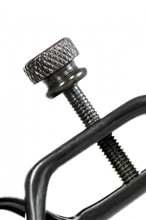 Черно-золотистые зажимы для сосков TOYFA Theatre - ToyFa - купить с доставкой в Норильске