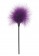 Эротический набор FANTASTIC PURPLE SEX TOY KIT - Toy Joy - купить с доставкой в Норильске